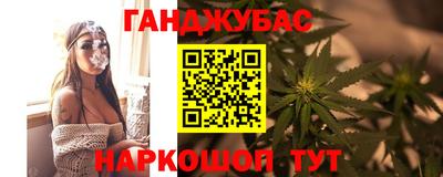 альфа пвп Волгодонск